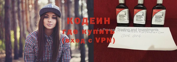 прущие крисы Бородино
