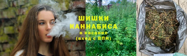 хмурый Бронницы