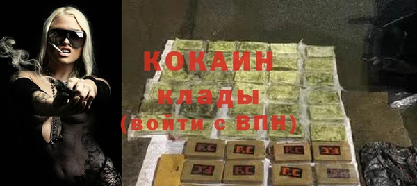 прущие крисы Бородино