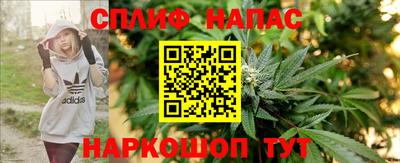 спиды Новокубанск