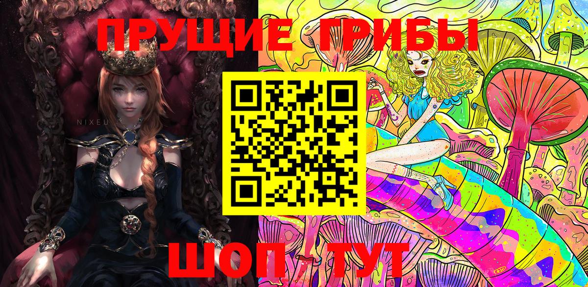 Галлюциногенные грибы GOLDEN TEACHER  Псилоцибиновые грибы мухоморы  Вход с VPN  где купить наркоту  Дальнегорск 
