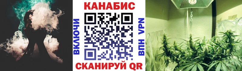 где продают наркотики  Дальнегорск  Конопля White Widow 